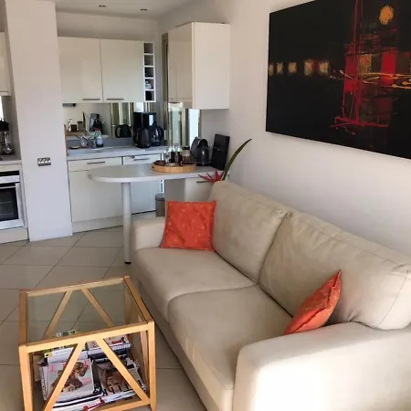 Esterel Terrasses, Roof Front De Mer, Parking Payant Апартаменты Канны